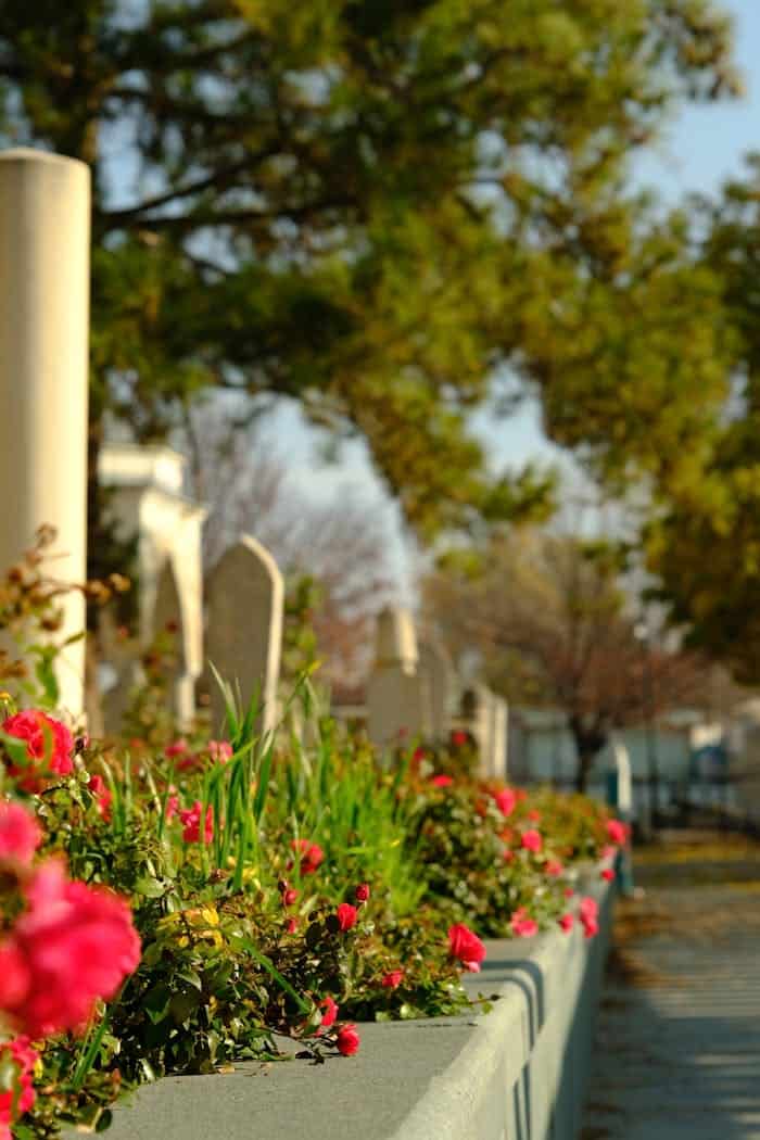 A colorful city street scene with blooming flowers and greenery lining a sunny urban walkway.