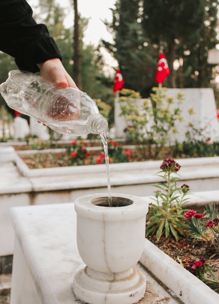 A hand pouring water from a bottle into a plant pot at a memorial site adorned with flags.